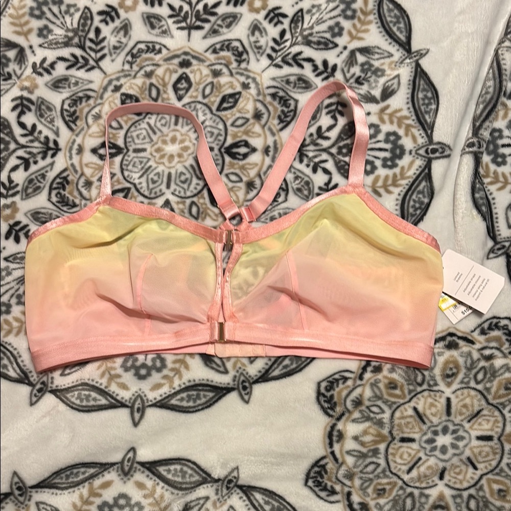 Auden Sheer Pink and Yellow Bralette XXL